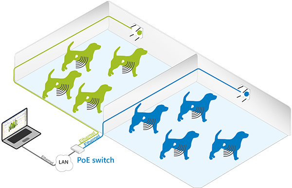 easyTEL+ Large animals telemetry system configuration